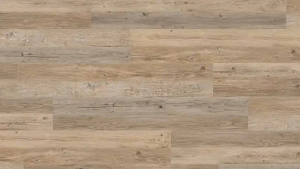 Bestseller Creation 40 Clic Acoustic I Long Board 0455