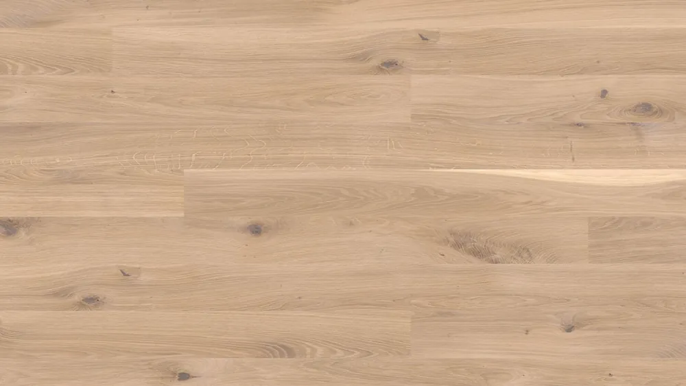 Neue Kollektion JOKA Calgary 527 138 LD | Eiche creme geb.VILLA ÖL