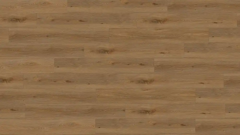 Sonderaktion Creation 40 Clic Acoustic I Aquinoah Brown 1705