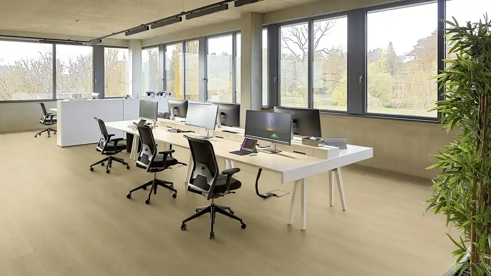 Top-Angebot Project Floors floors@work PW 5021-/55