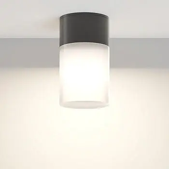 Deckenleuchte Schwarz Aluminium Weißer Diffusor 1× E27-Fassung – Willis | Maytoni Online Kaufen