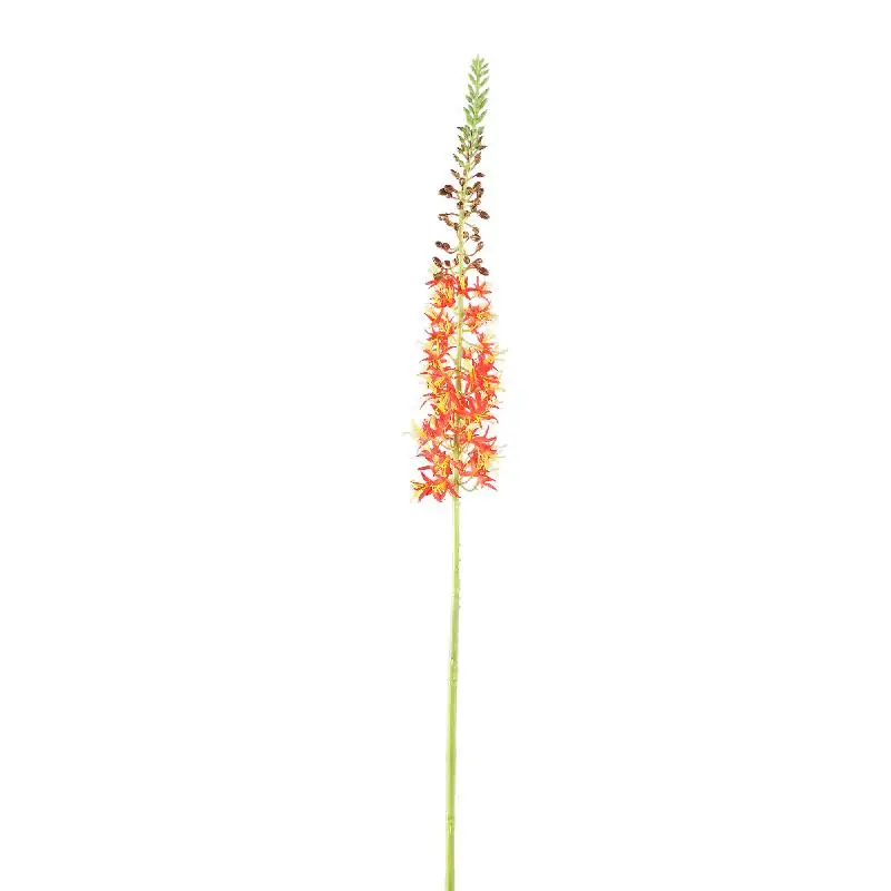 Zweigpflanze – Orange Eremurus-Zweig aus Polyesterstoff, Eisenmetall und PE-Kunststoff | PTMD Jetzt Bestellen
