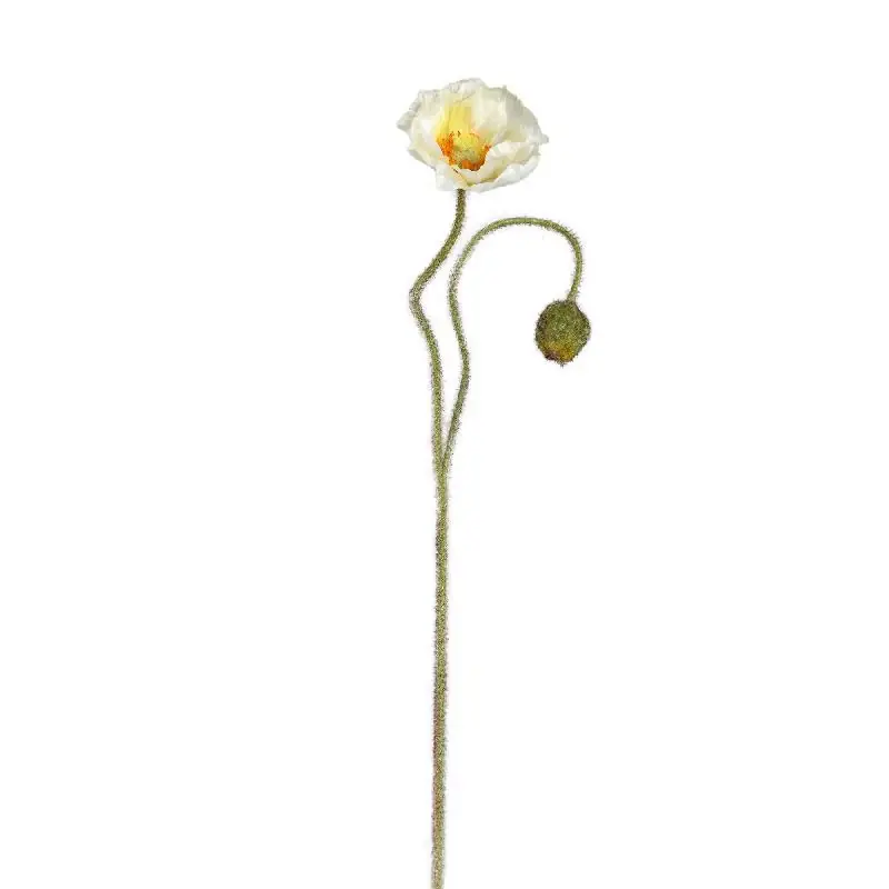 Bestpreis Mohnblume – Weißer Mohnzweig mit Knospe aus Polyestergewebe | PTMD