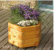 Nur Heute MrGardener Blumenkasten Toscana 6-Eck, farbig