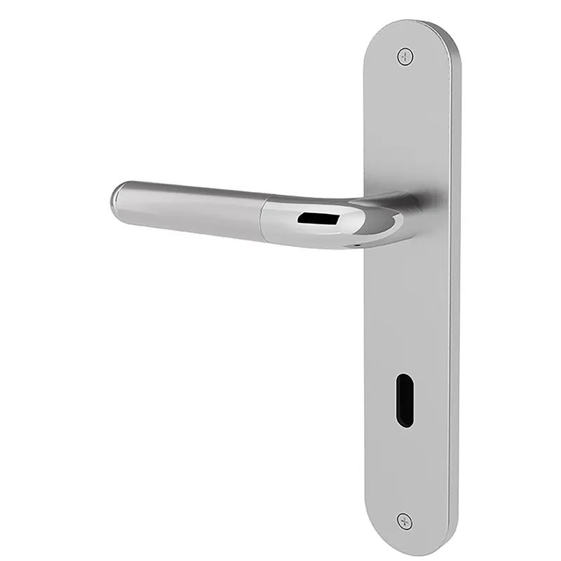 Türgriff Eleganto 19LR Chrom / Edelstahl Top-Preis