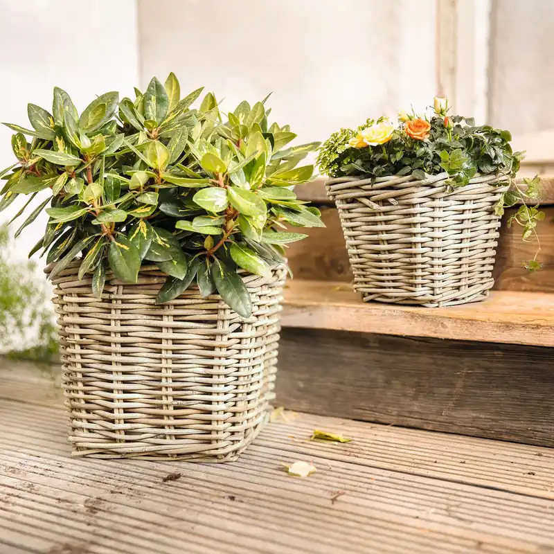 Rabatt Pflanzer "Rattan", groß