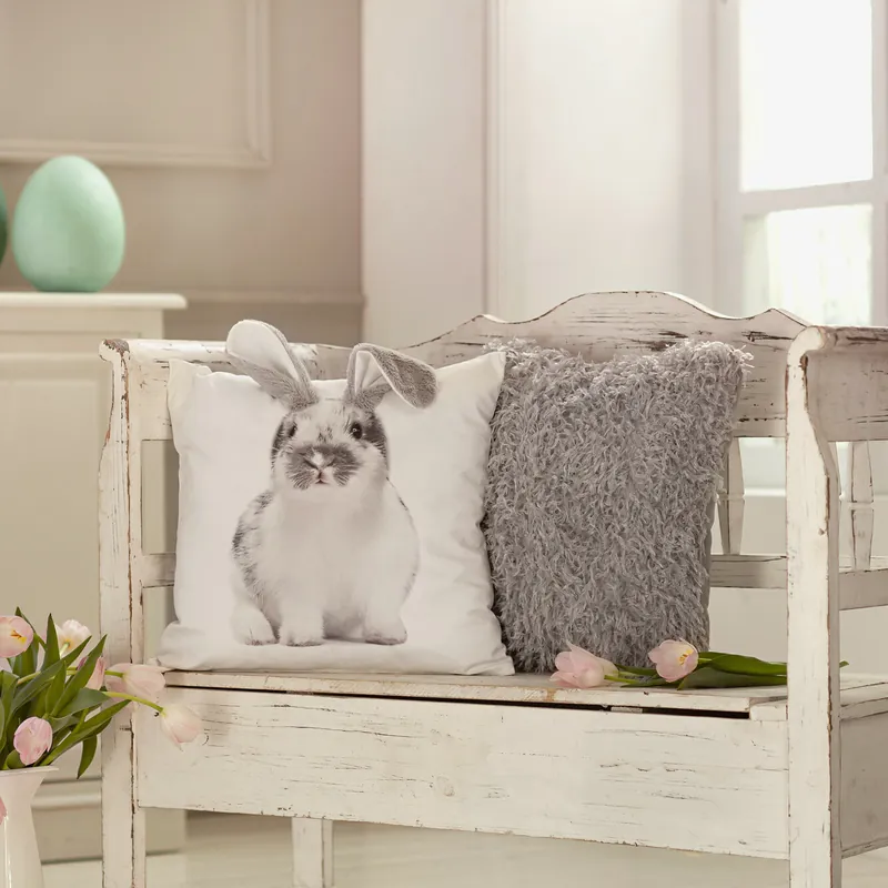 Kissenhülle "Schlappohr" Markenprodukt