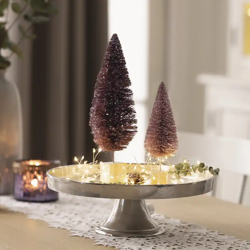 Ausverkauf Tanne "Wintertraum", 2er Set