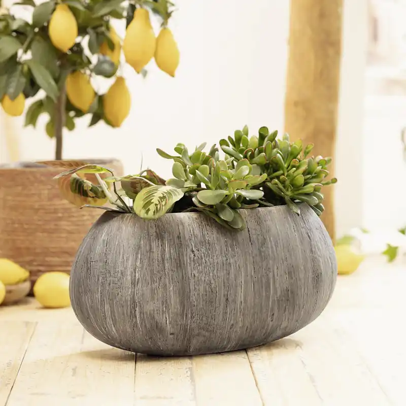 Highlight Pflanzschale "Woodgrey"