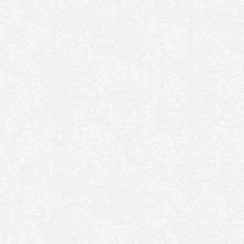 A.S. Creation | Meistervlies | 248817 | Vliestapete Überstreichbar | Putz | 1.06 x 25 m | Weiß Geprüft