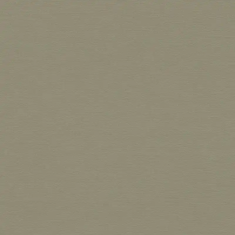 A.S. Creation | Antigua | 390975 | Vliestapete | Einfarbig | 10.05 x 0.53 m | Grün Jetzt Kaufen