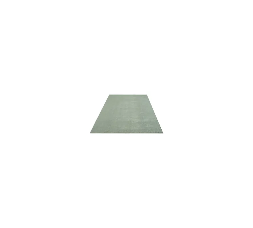 Expressversand Indoor Teppich Grün versch. Größen - rechteckig für alle Innenräume - FLOORNOVO