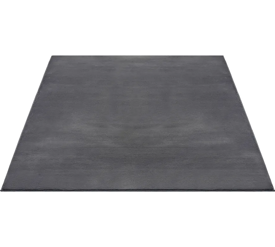 Indoor Teppich Anthrazit versch. Größen - rechteckig für alle Innenräume - FLOORNOVO Direktkauf