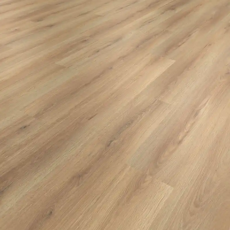 Knallerangebot Friends by ter Hürne Laminat Eiche Aurelia 262 Linear-Geporte Struktur